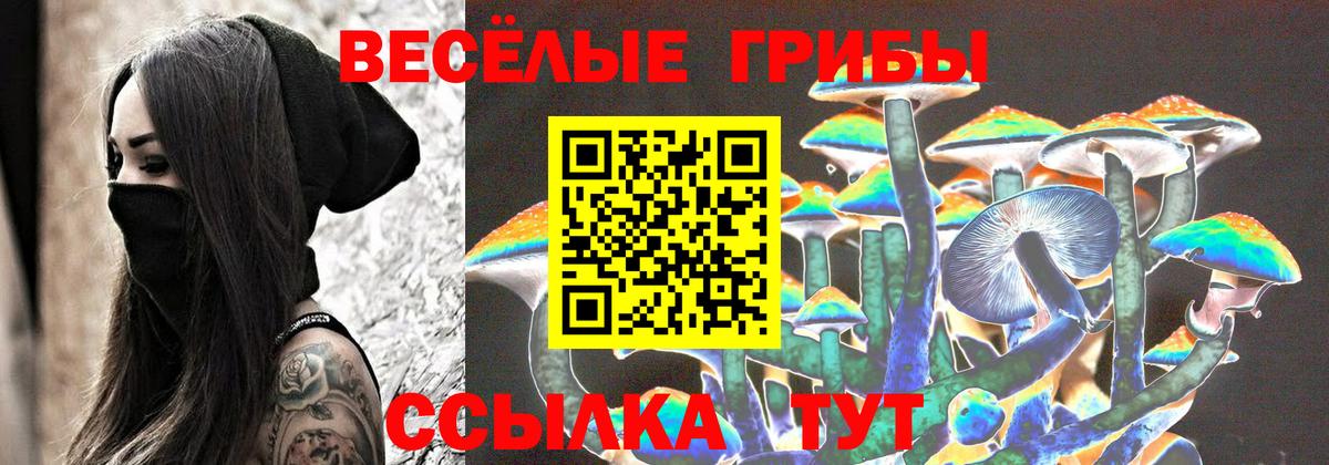 Галлюциногенные грибы прущие грибы  Вход с VPN  Ефремов 
